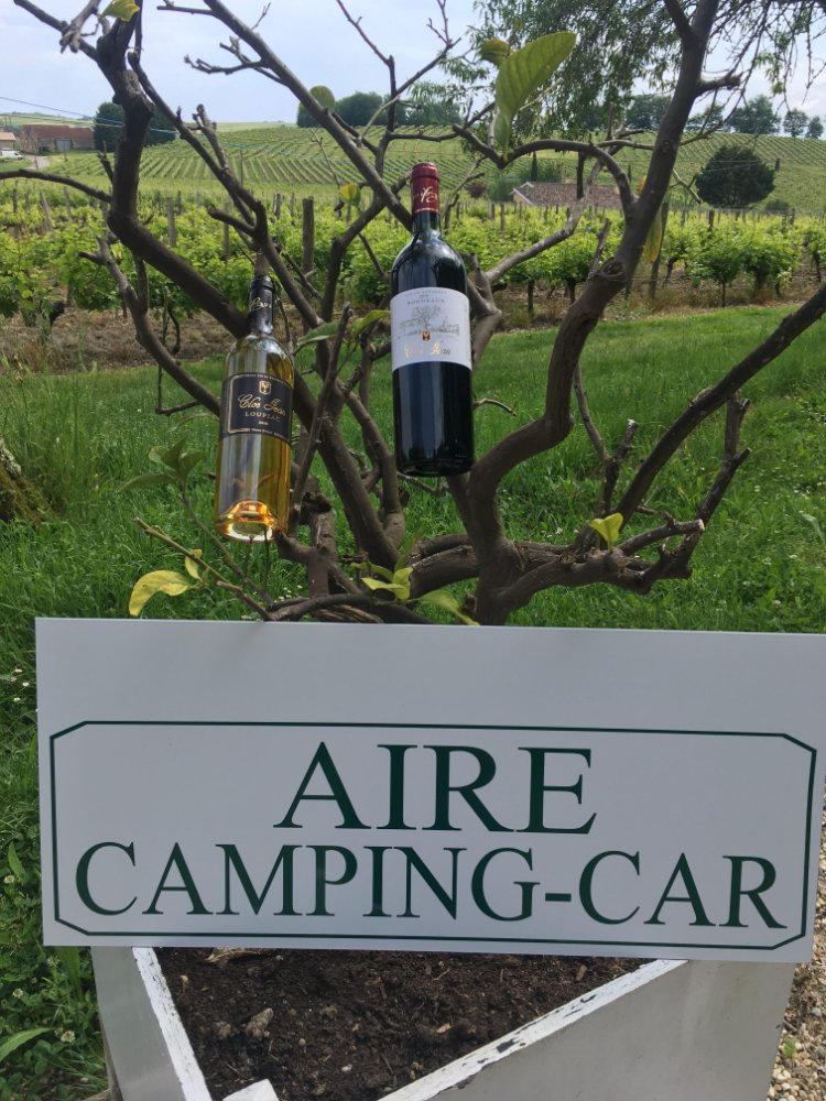 Aire camping-car à Loupiac (33410) - Photo 5